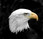 Logo Adler Automobile Export